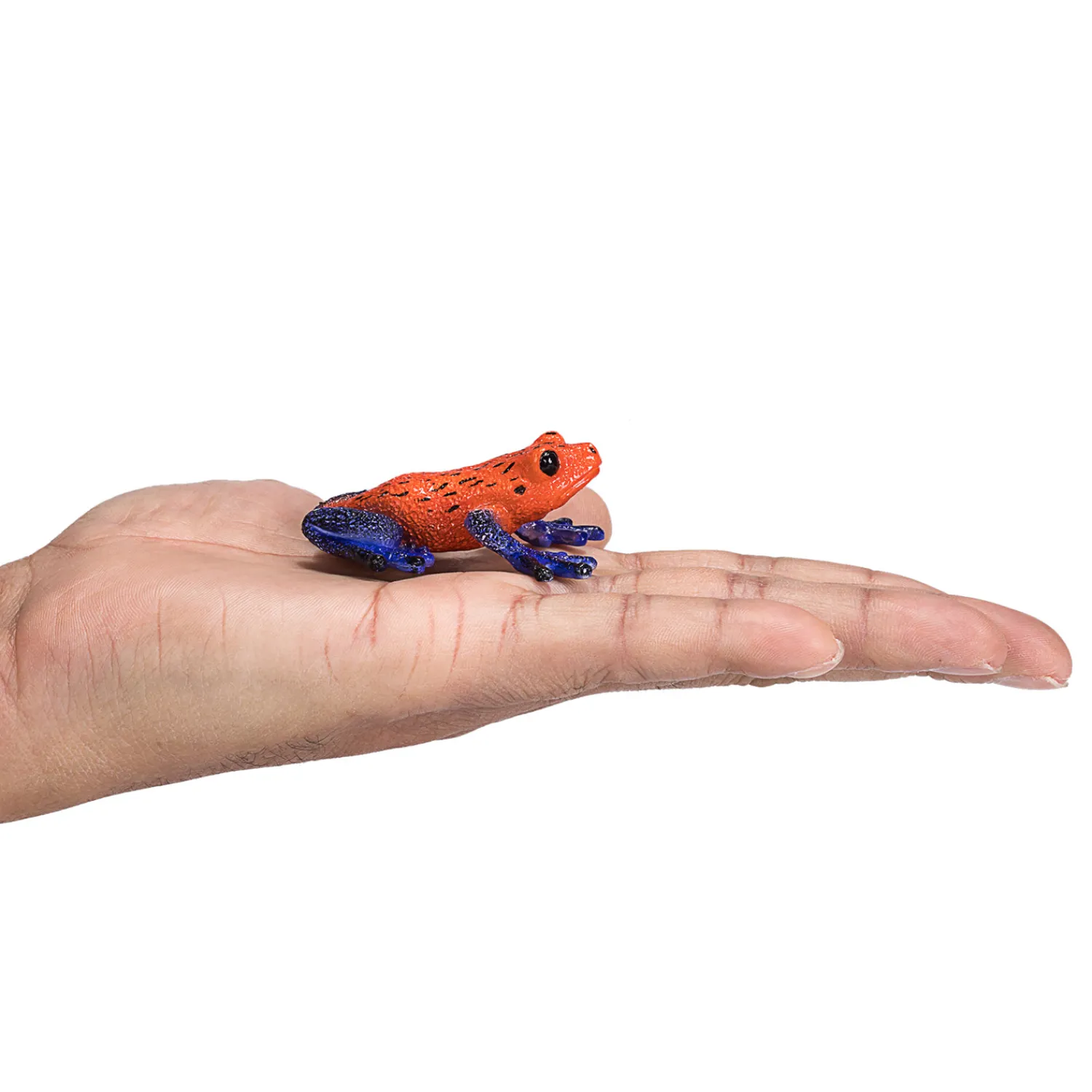 Wildlife Pijlgifboomkikker - 381016>Mojo Sale