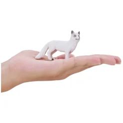 Wildlife Poolvos - 381090><noscript><img width=