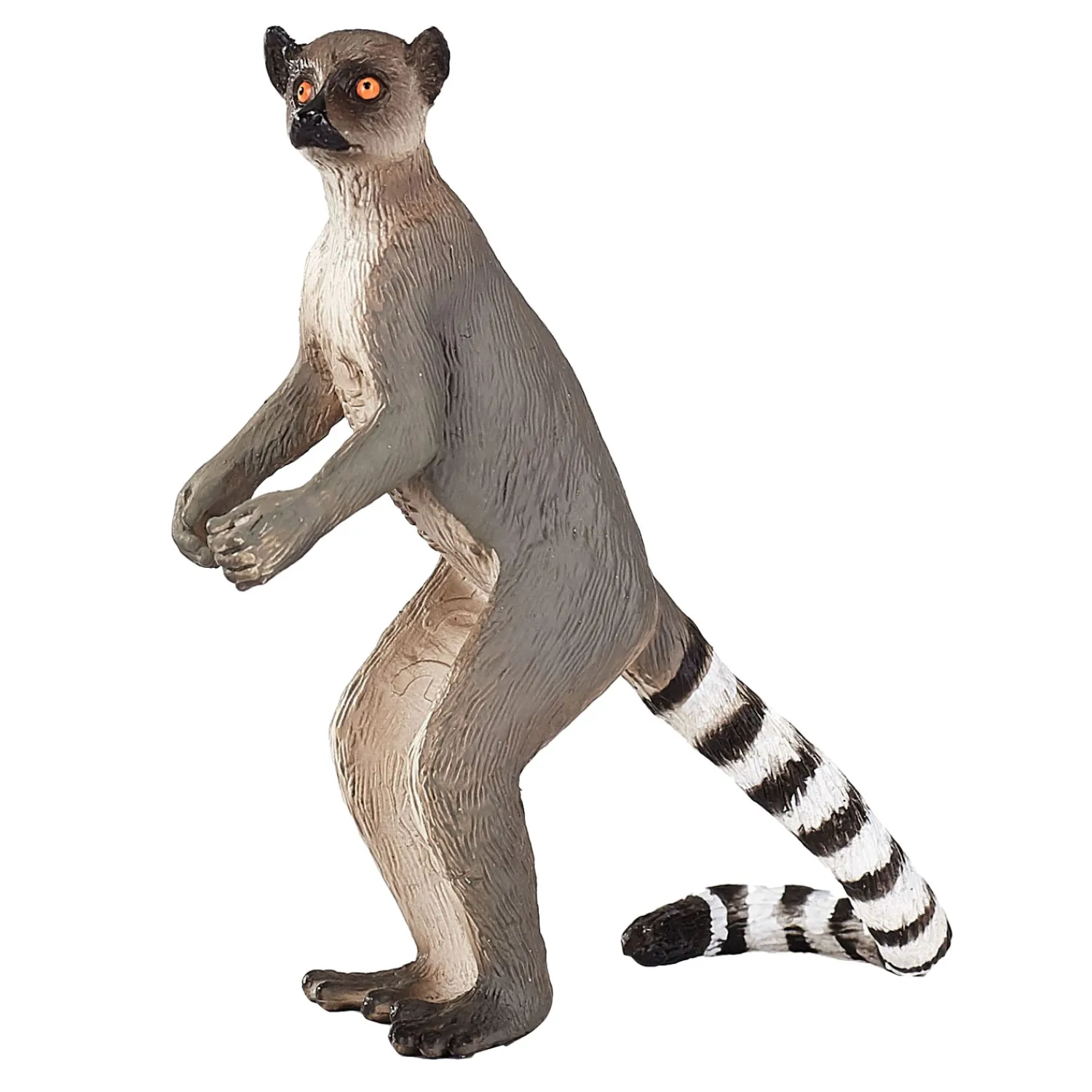 Wildlife Ringstaartmaki - 1285431-Mojo Clearance