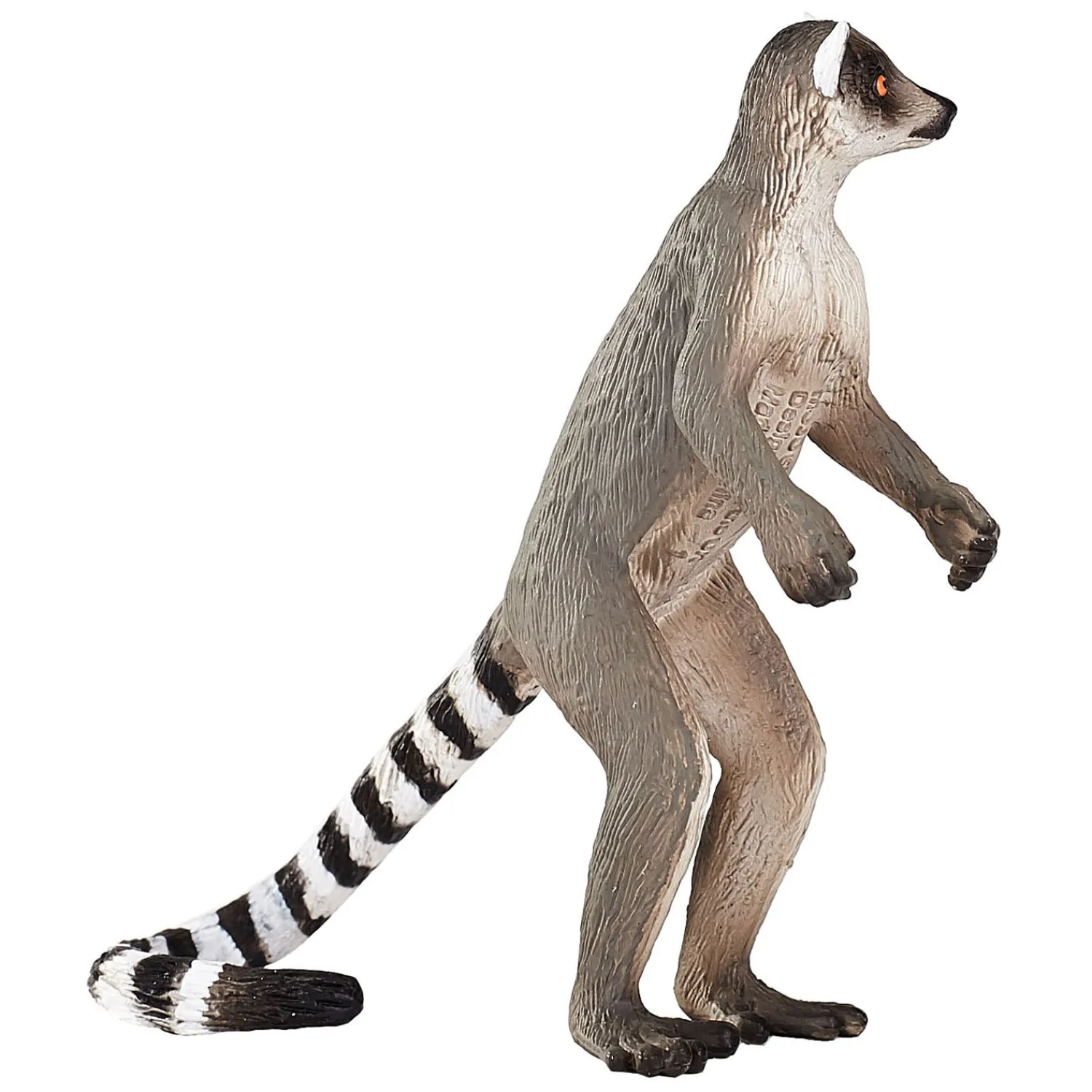 Wildlife Ringstaartmaki - 1285431-Mojo Clearance