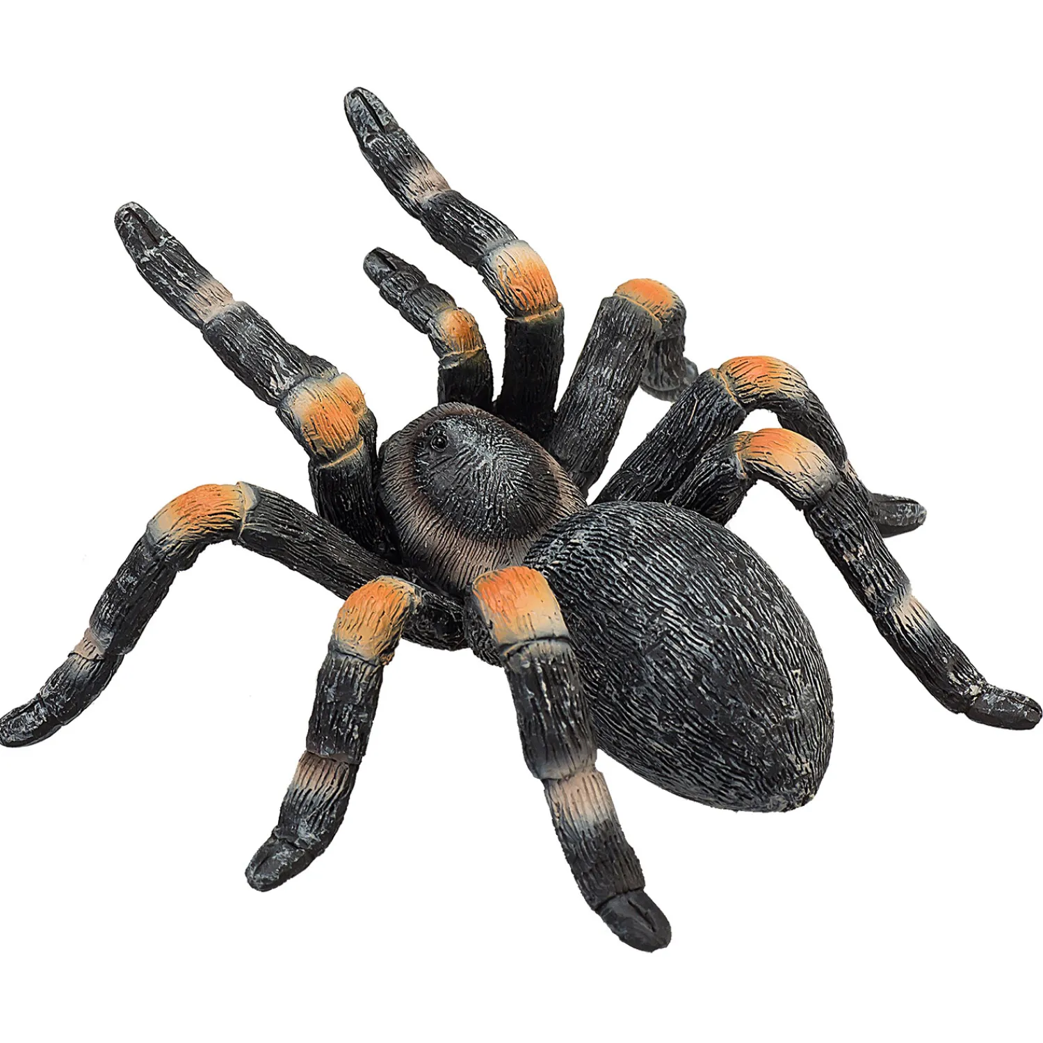 Wildlife Rode Tarantula - 387213>Mojo Sale