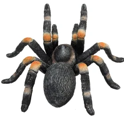 Wildlife Rode Tarantula - 387213>Mojo Sale
