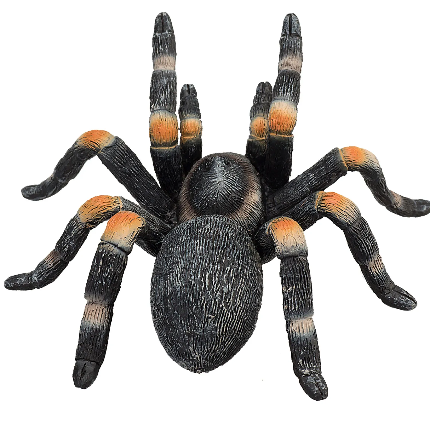 Wildlife Rode Tarantula - 387213>Mojo Sale