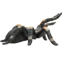 Wildlife Rode Tarantula - 387213><noscript><img width=
