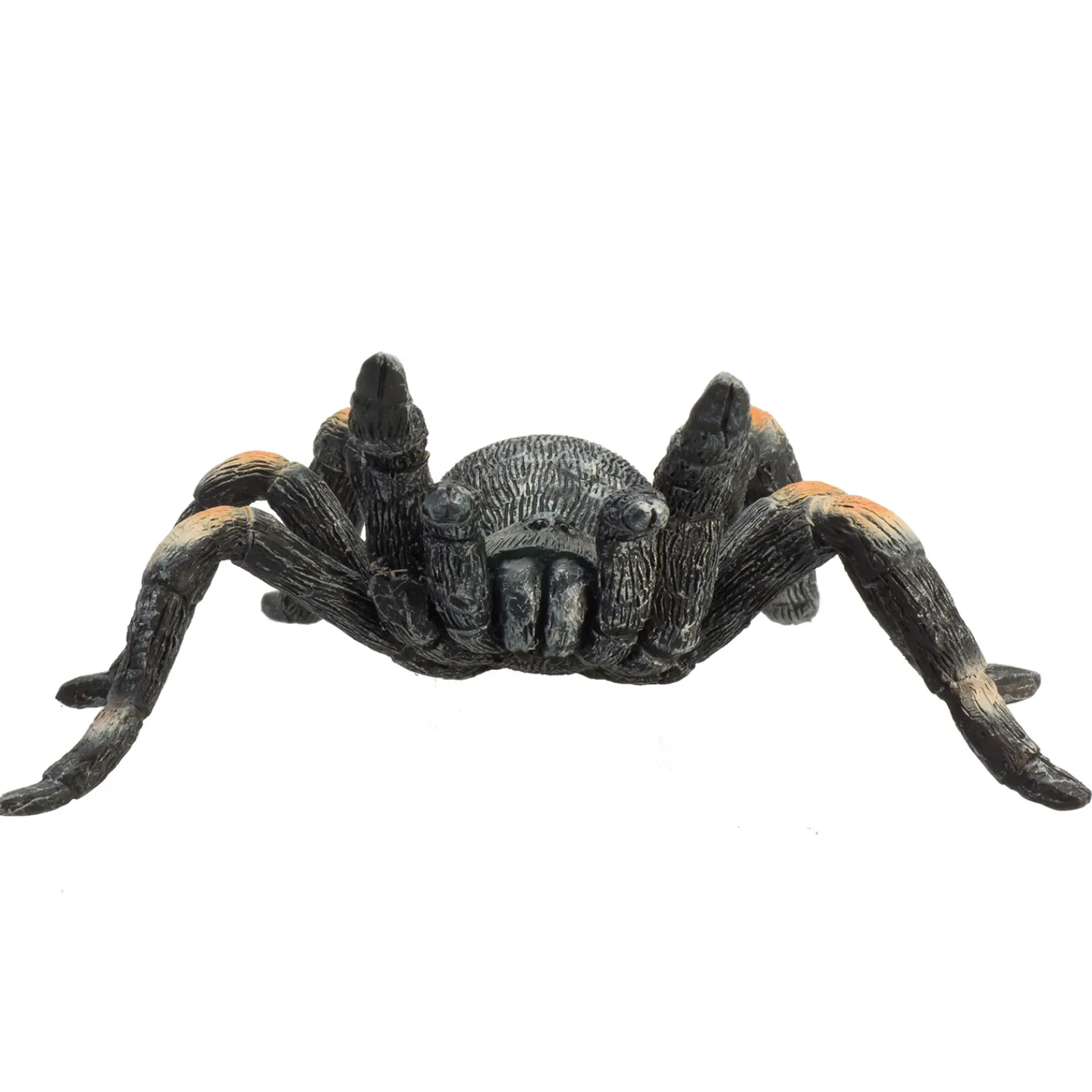 Wildlife Rode Tarantula - 387213>Mojo Sale