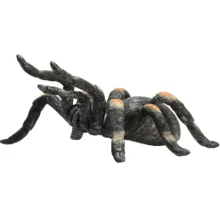 Wildlife Rode Tarantula - 387213><noscript><img width=