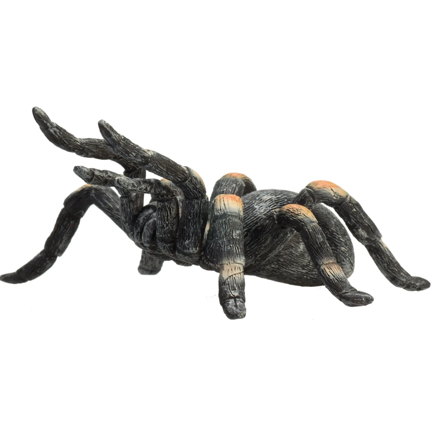 Wildlife Rode Tarantula - 387213>Mojo Sale