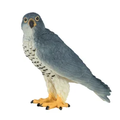 Wildlife Slechtvalk - 381056>Mojo Discount