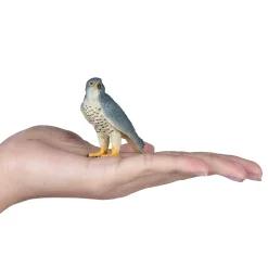 Wildlife Slechtvalk - 381056><noscript><img width=