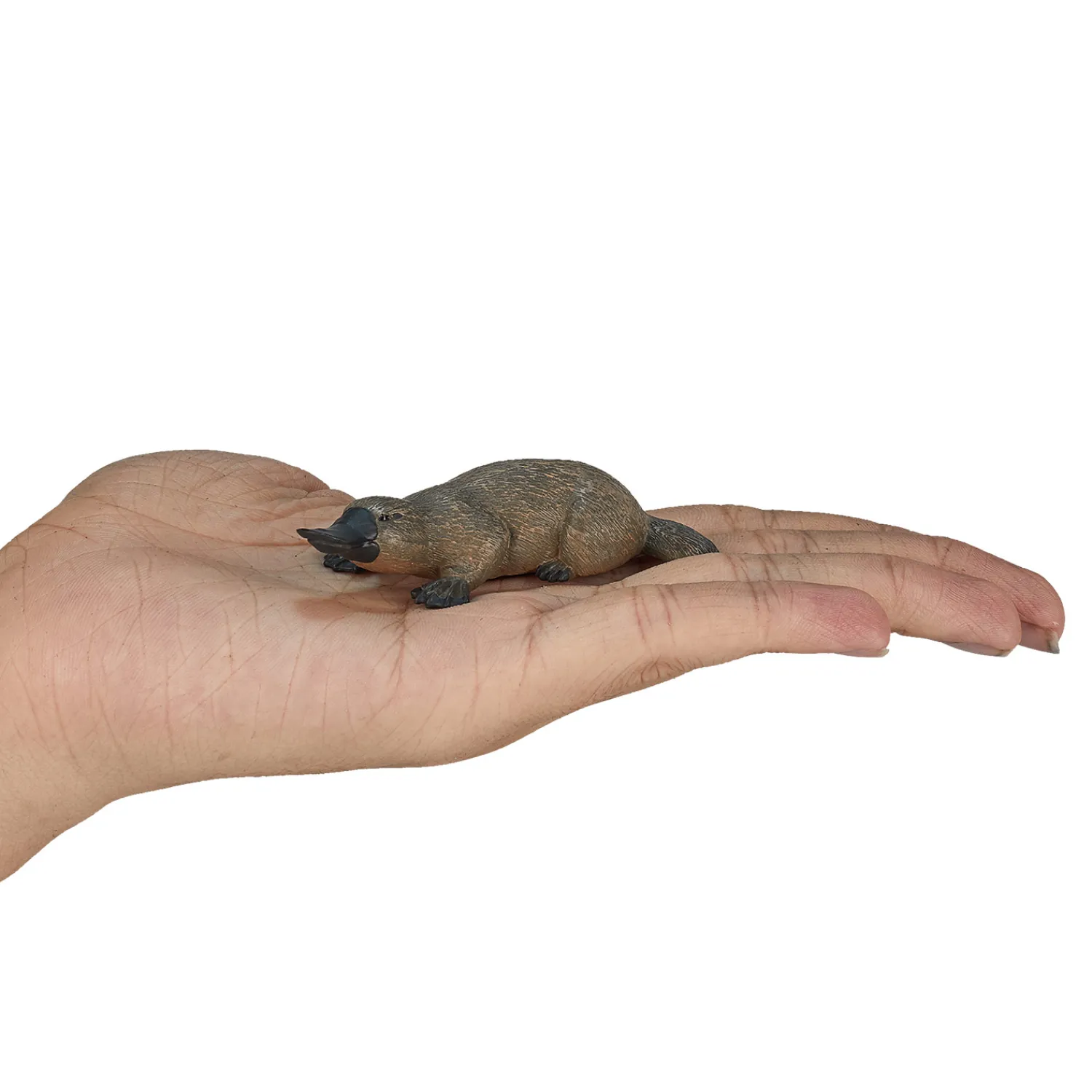 Wildlife Vogelbekdier - 387106-Mojo