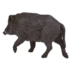 Wildlife Wild Zwijn Mannetje - 387160><noscript><img width=