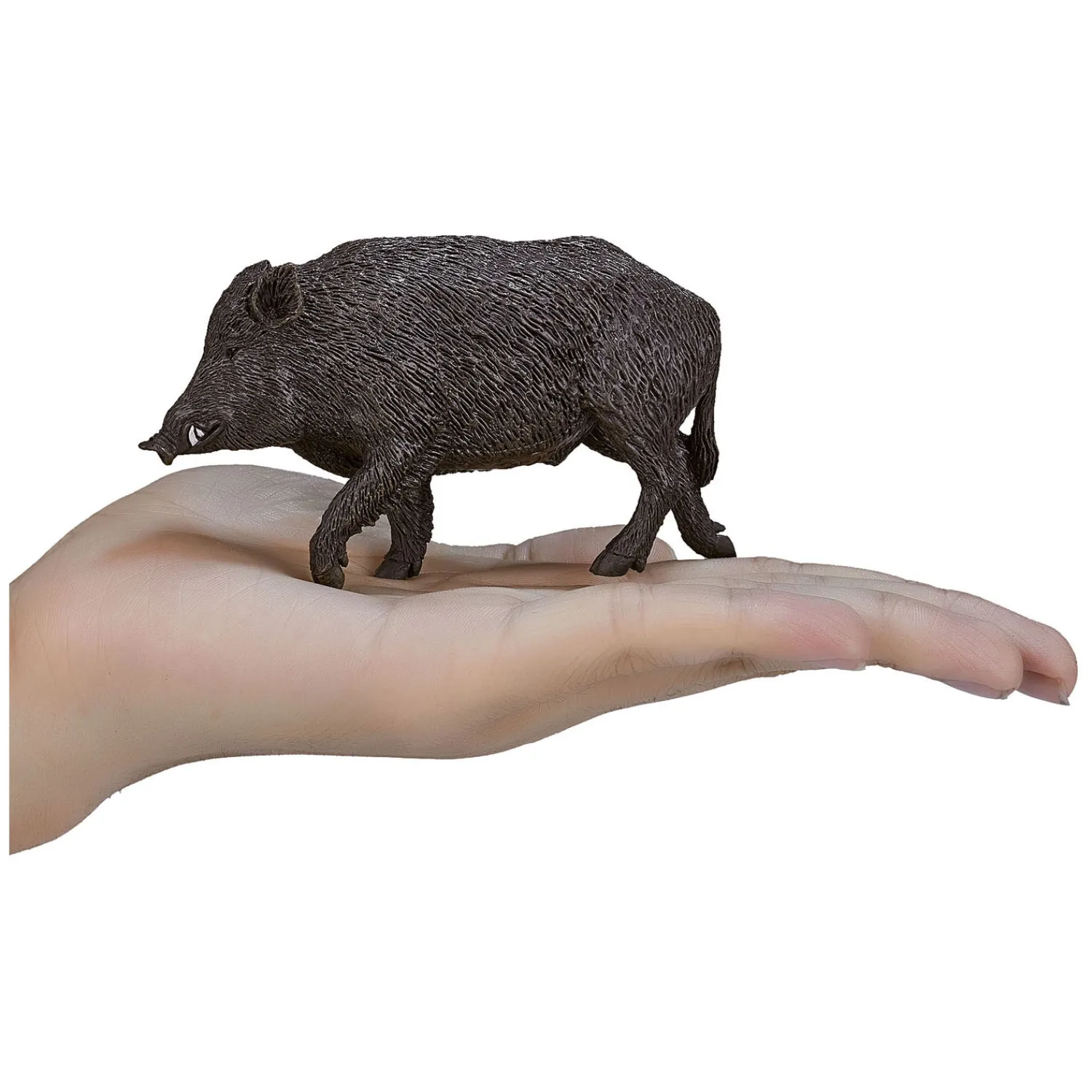 Wildlife Wild Zwijn Mannetje - 387160>Mojo