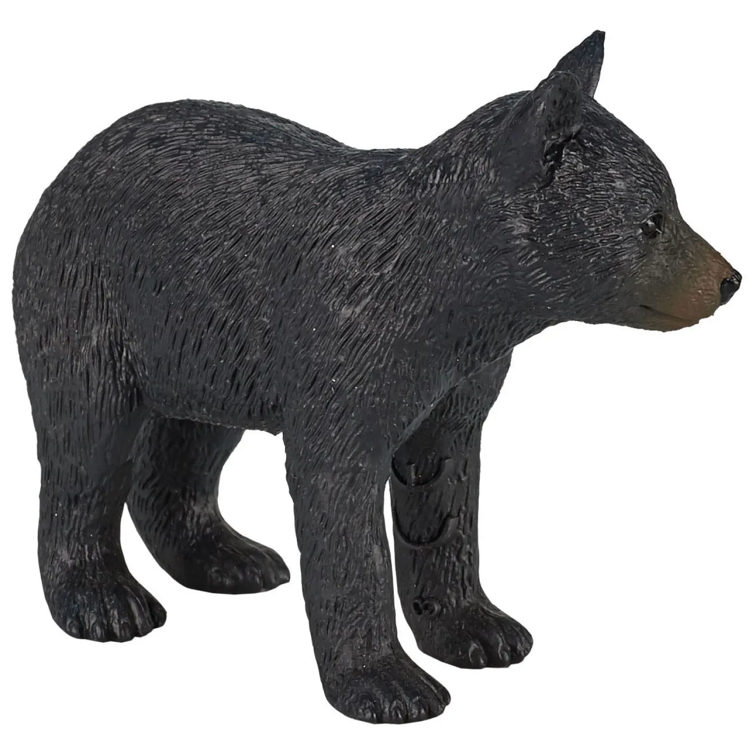 Wildlife Zwarte Beer - 387287>Mojo Clearance