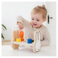 Bambolino Toys Nijntje Hamerbankje Hout