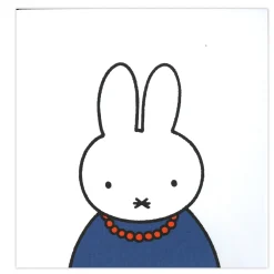 nijntje in het museum-Centraal Boekhuis Discount