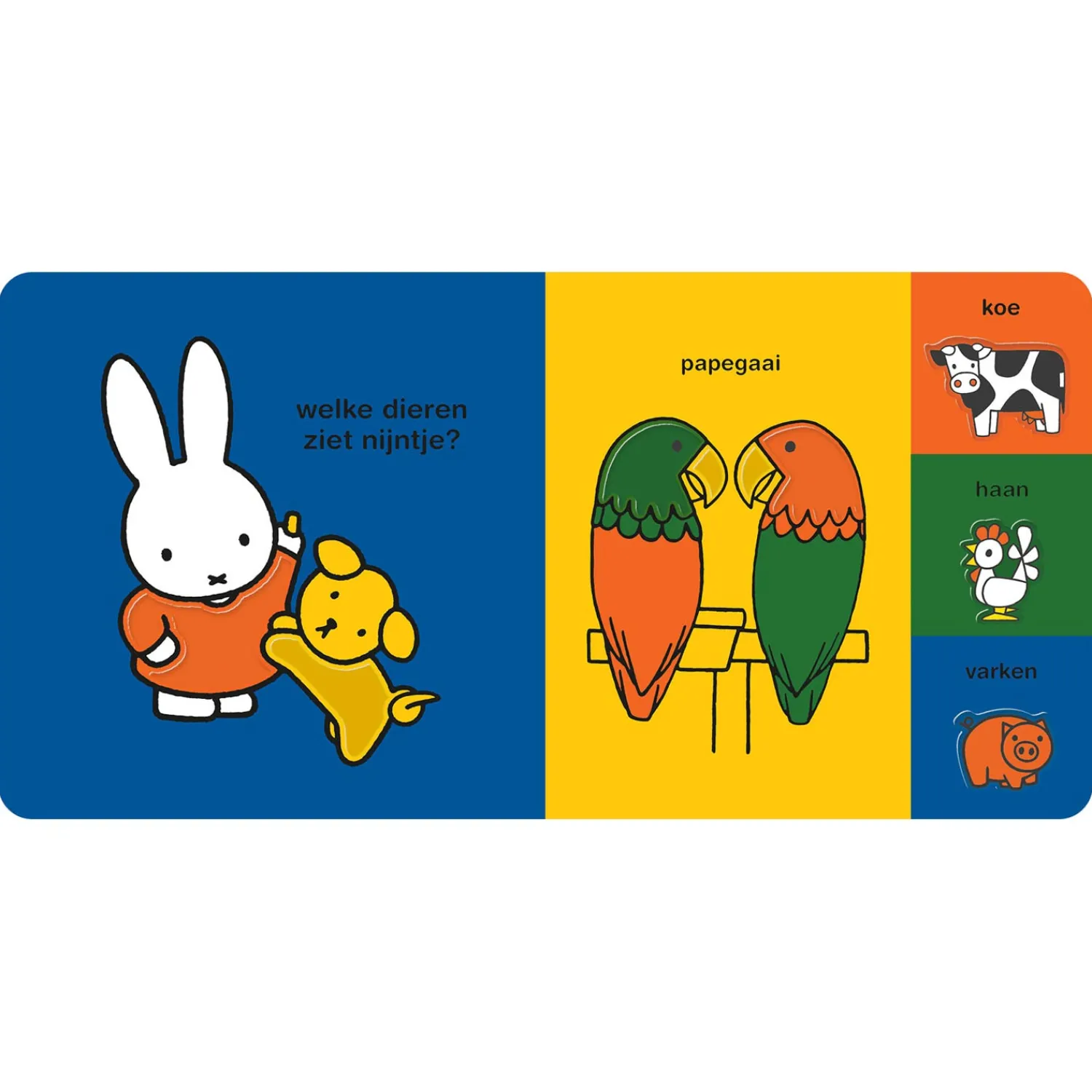 nijntje kijkt-Centraal Boekhuis Best