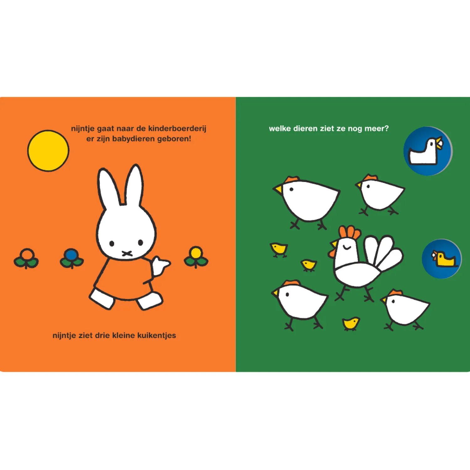 Centraal Boekhuis nijntje op de kinderboerderij