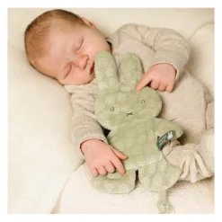 Nijntje Speendoekje - Groen- Hot