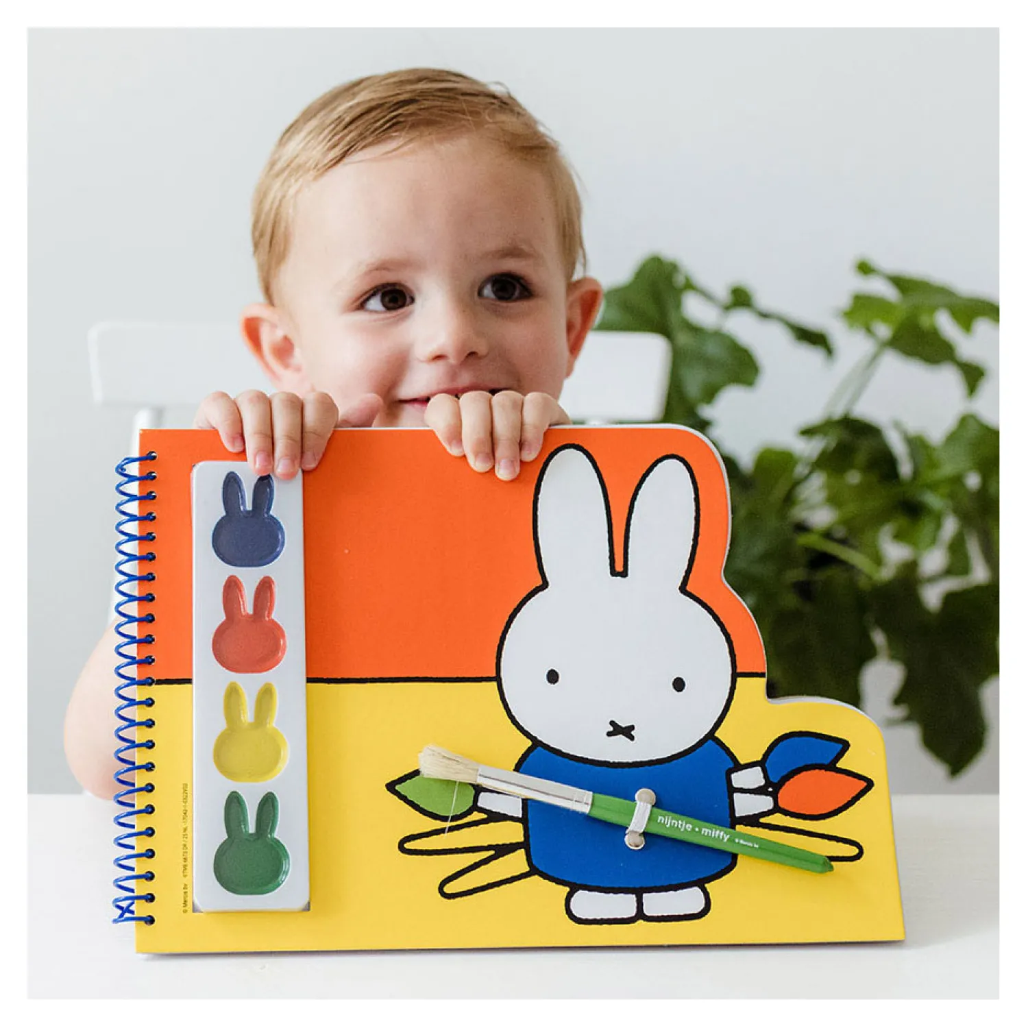 Nijntje Verfblok>Bambolino Toys