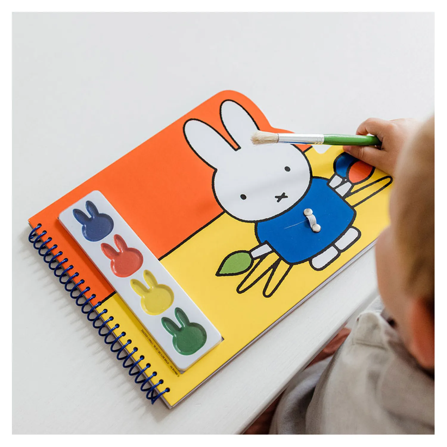 Nijntje Verfblok>Bambolino Toys