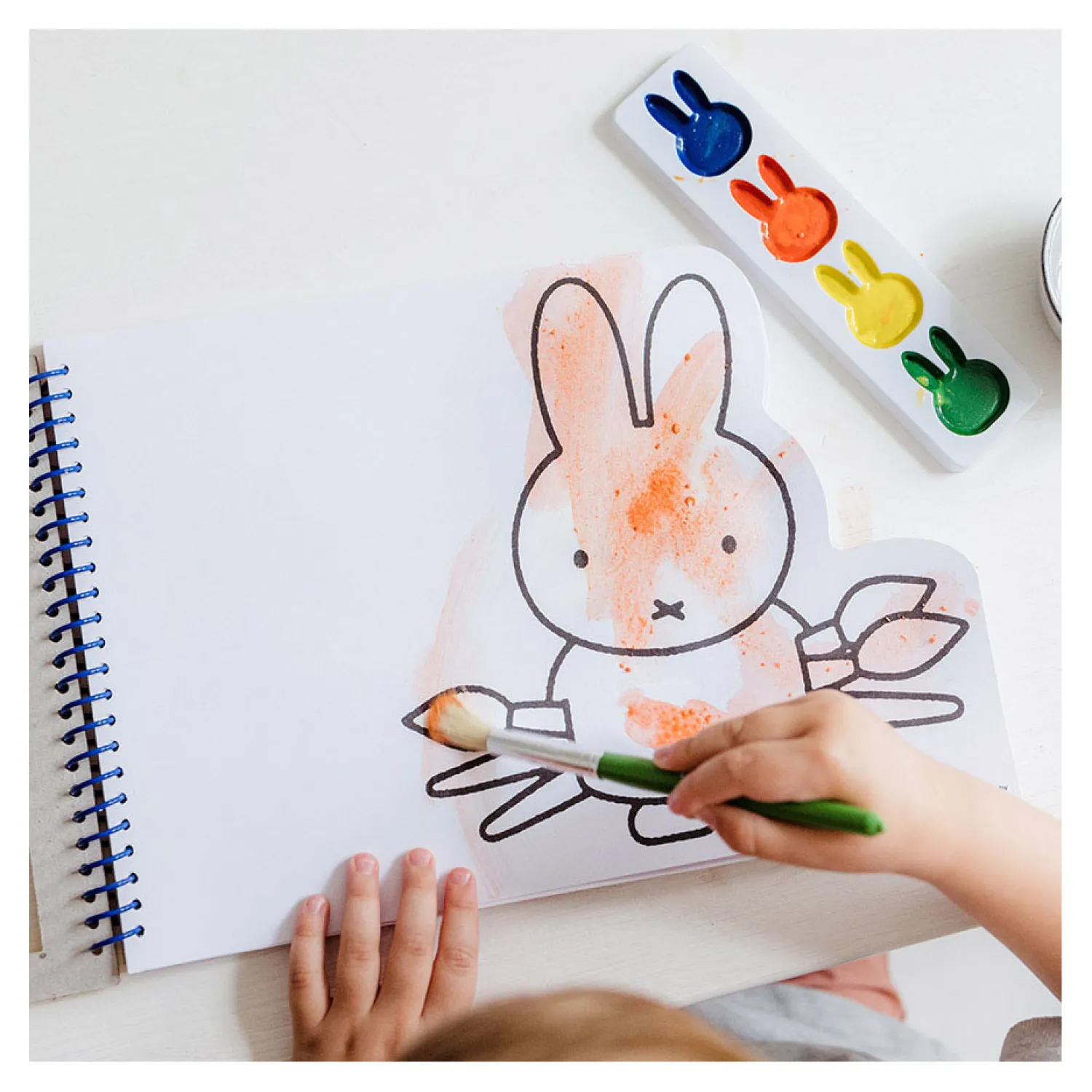 Nijntje Verfblok>Bambolino Toys