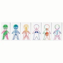 Ontdek en Kleur je Lichaam - 250st.> Hot