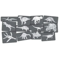Ontdekkingskaarten Dino Afbeeldingen en X-Ray - 24st.- Sale