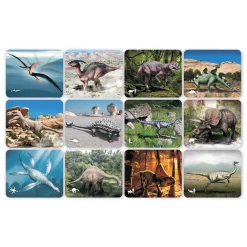 Ontdekkingskaarten Dino Afbeeldingen en X-Ray - 24st.- Sale