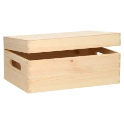 Opbergkist Rechthoek Klepdeksel Grenen Klein>Playwood Best