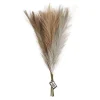 Pampasgras Beige/Bruin/Grijs, 3st.-Creativ Company Outlet