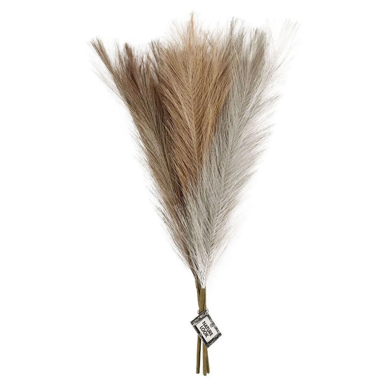 Pampasgras Beige/Bruin/Grijs, 3st.-Creativ Company Outlet