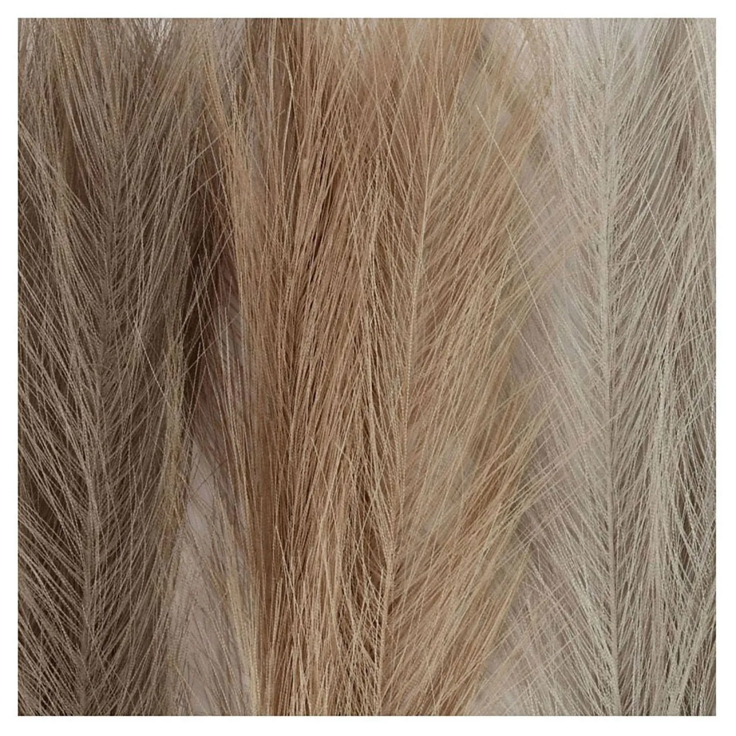 Pampasgras Beige/Bruin/Grijs, 3st.-Creativ Company Outlet