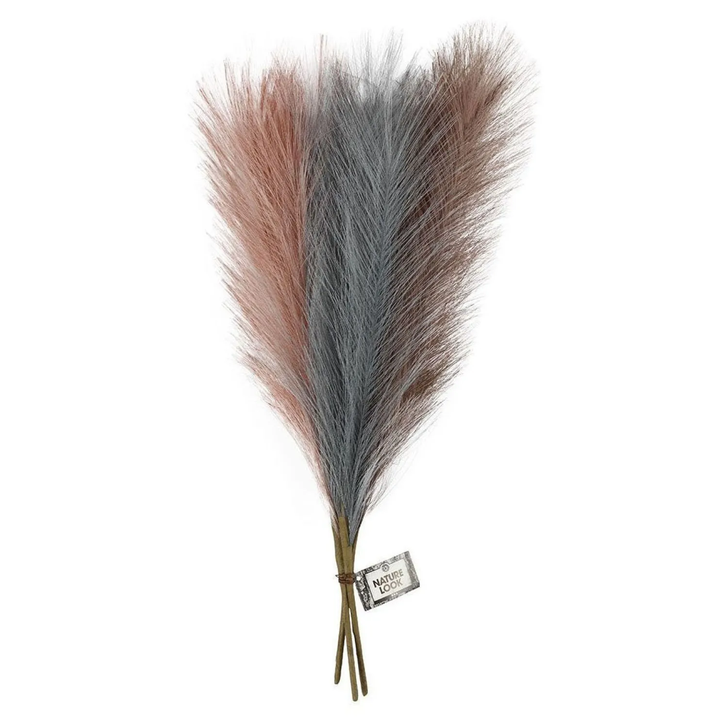 Pampasgras Blauw/Lila/Roze, 3st.>Creativ Company Best