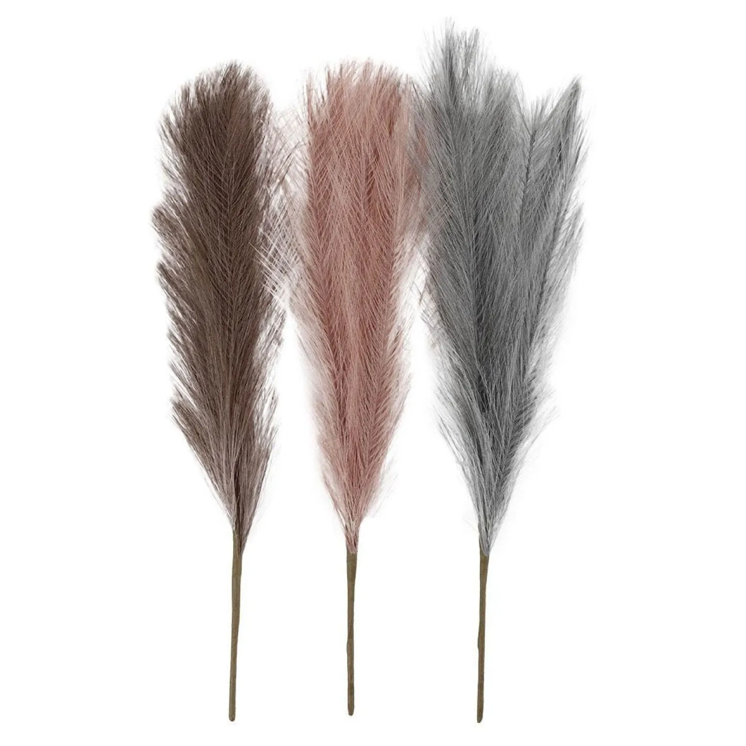 Pampasgras Blauw/Lila/Roze, 3st.>Creativ Company Best