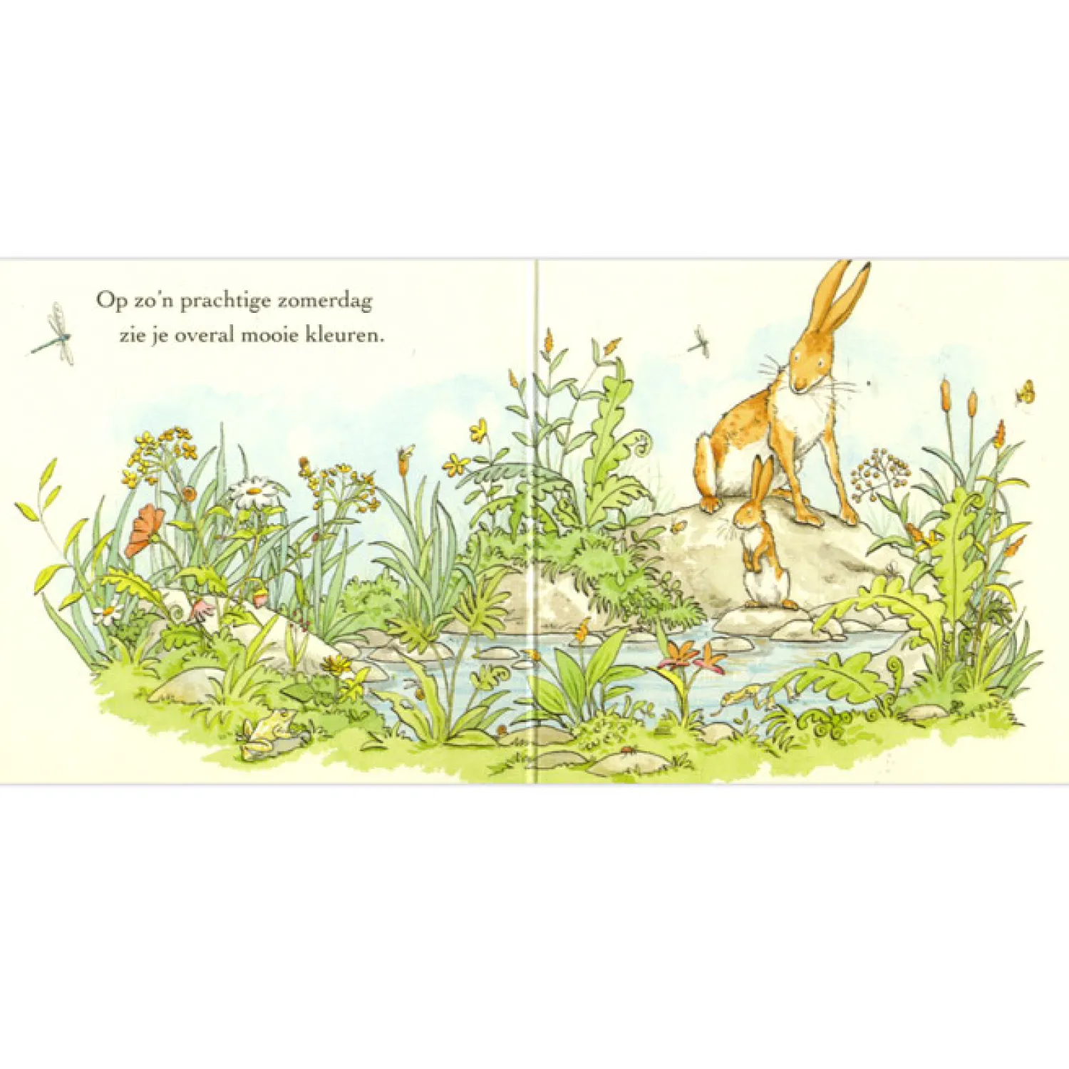 Raad eens hoeveel ik van je hou, 4st.>Centraal Boekhuis Discount