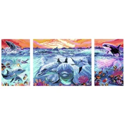 CreArt Schilderen op Nummer - Dolphins At Sunset>Ravensburger Best