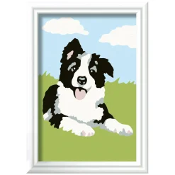 CreArt Schilderen op Nummer - Border Collie-Ravensburger Outlet