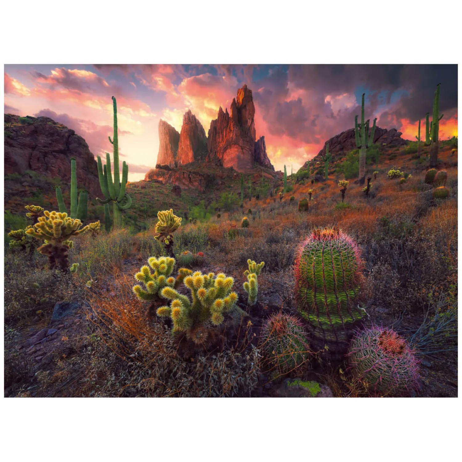 Legpuzzel Cactus, 500st.>Ravensburger Online