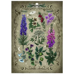 Legpuzzel Giftpflanzen, 1000st.-Ravensburger Discount