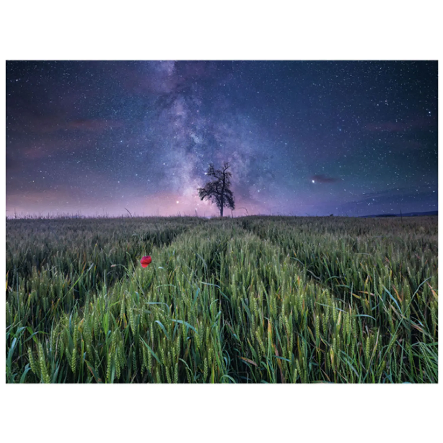 Legpuzzel Nachthim.Uber Dem Kornfeld, 1500st.-Ravensburger New