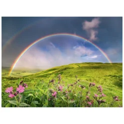 Legpuzzel Spektakularer Regenbogen, 1500st.>Ravensburger Online