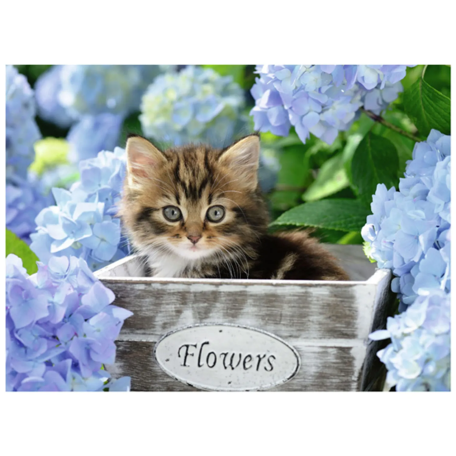 Legpuzzel XXL Klein Katje, 300st.-Ravensburger Clearance