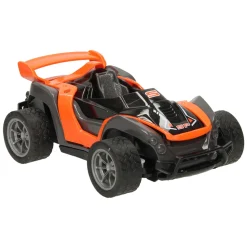 RC Bestuurbare Auto met Verwisselbare Bodies- New