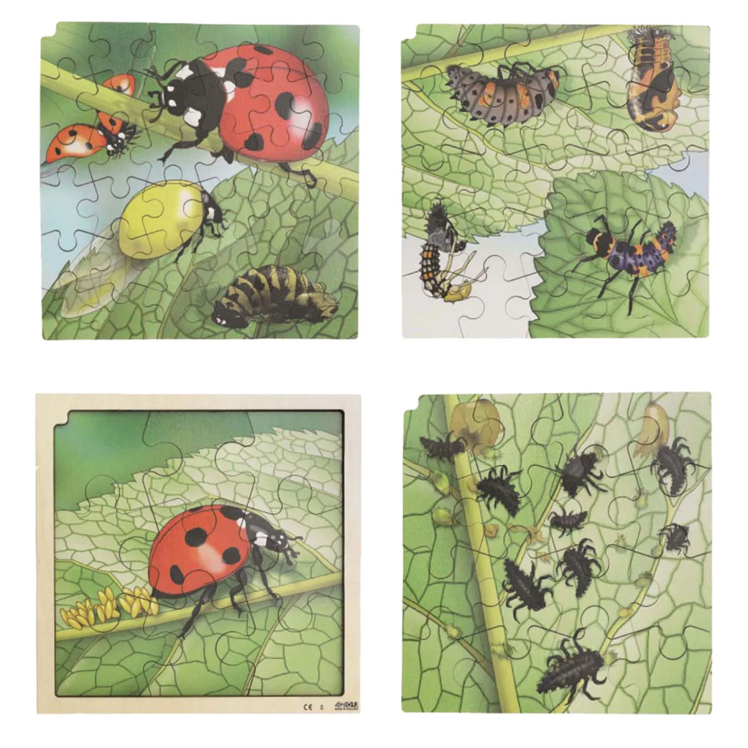 - Groei en 4 Lagenpuzzel Lieveheersbeestje - 86st.-Rolf Clearance