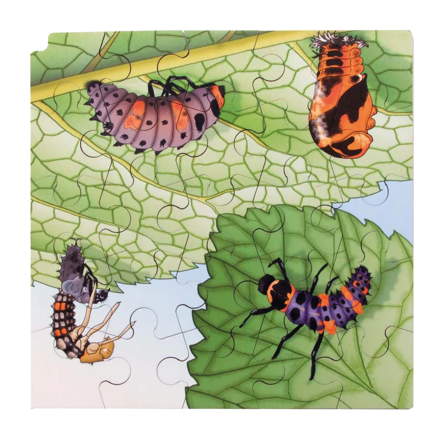 - Groei en 4 Lagenpuzzel Lieveheersbeestje - 86st.-Rolf Clearance