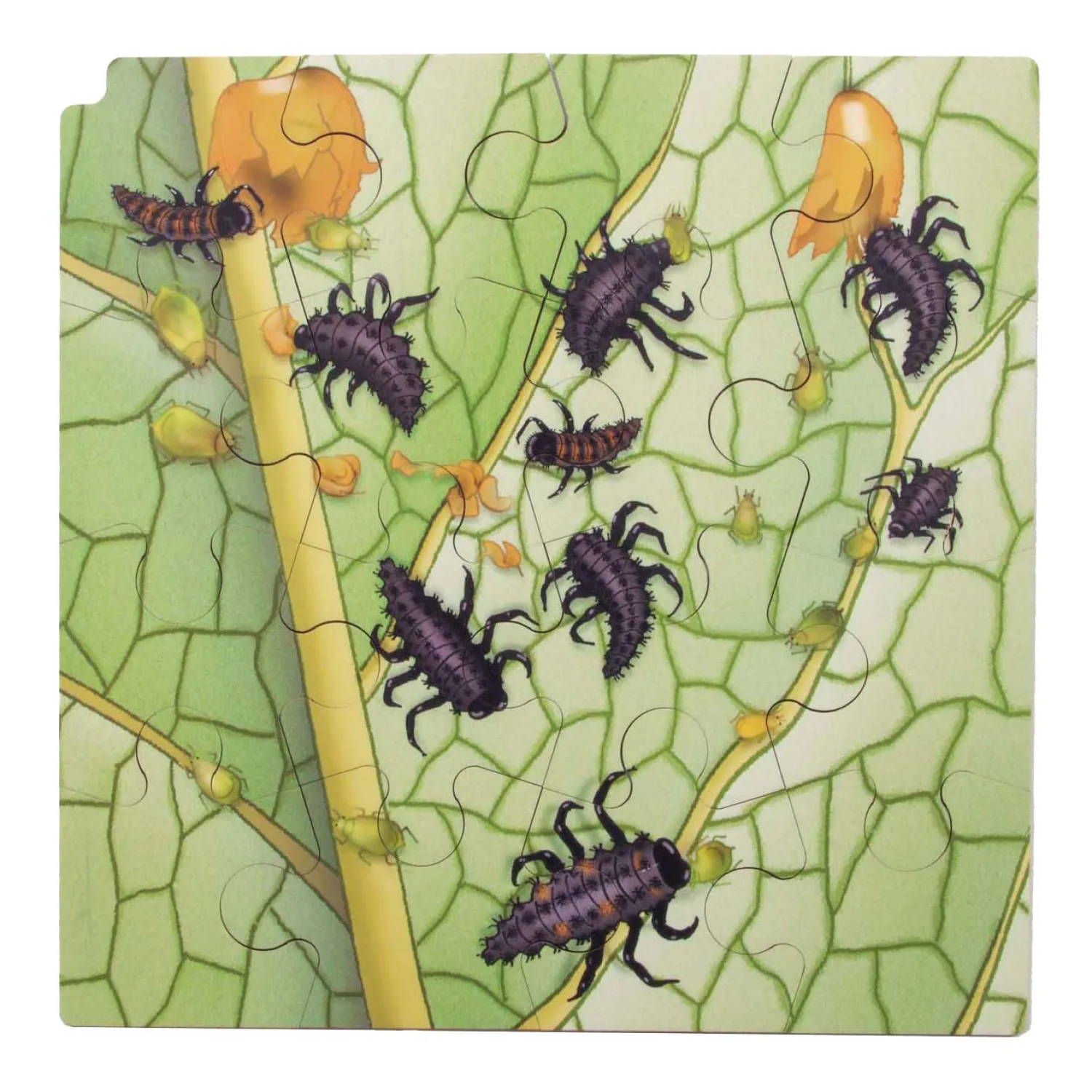 - Groei en 4 Lagenpuzzel Lieveheersbeestje - 86st.-Rolf Clearance