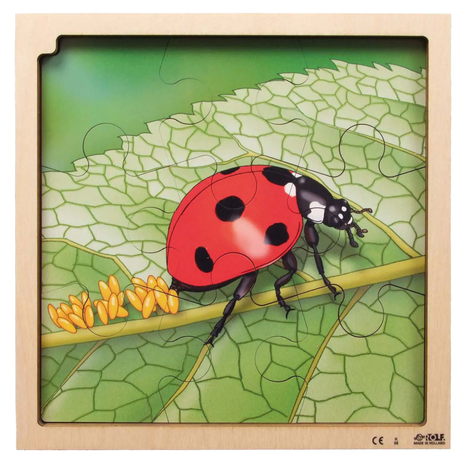 - Groei en 4 Lagenpuzzel Lieveheersbeestje - 86st.-Rolf Clearance