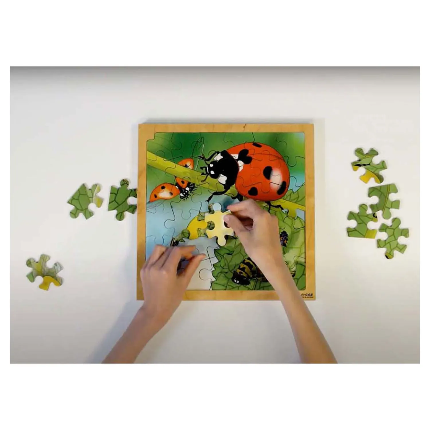 - Groei en 4 Lagenpuzzel Lieveheersbeestje - 86st.-Rolf Clearance