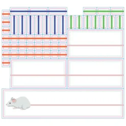 Basics - Staartjes Meten Rekenspel-Rolf Discount