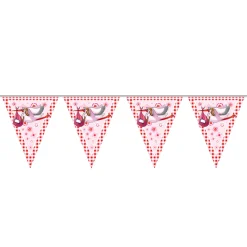 Roze Vlaggenlijn, 6mtr.>Folat BV Clearance